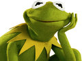 Гульня Coloring Book For Kermit the Frog 
