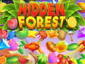 Гульня Hidden Forest