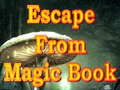Гульня Escape From Magic Book