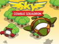 Гульня Sky Combat Squardom