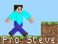 Гульня Pro Steve