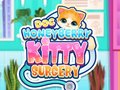 Гульня Doc HoneyBerry Kitty Surgery