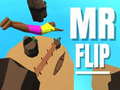 Гульня Mr Flip