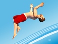 Гульня Flip Divers