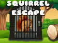 Гульня Squirrel Escape