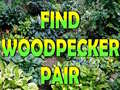 Гульня Find Woodpecker Pair 