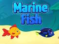 Гульня Marine Fish
