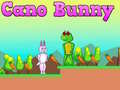 Гульня Cano Bunny
