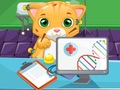 Гульня Cat Doctor