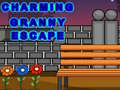 Гульня Charming Granny Escape