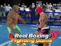 Гульня Real Boxing Fighting Game