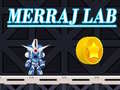 Гульня Merraj Lab