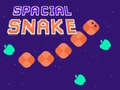 Гульня Spacial Snake