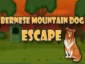 Гульня Bernese Mountain Dog Escape