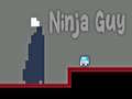 Гульня Ninja Guy