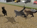 Гульня Run Cat Cat Race