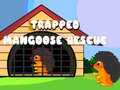 Гульня Trapped Mangoose Rescue