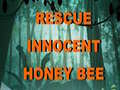 Гульня Rescue Innocent Honey Bee 