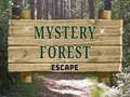 Гульня Mystery Forest