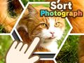 Гульня Sort Photograph