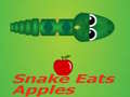 Гульня Snake Eats Apple