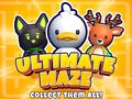 Гульня Ultimate Maze! Collect Them All!