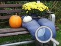 Гульня Autumn Garden Find 100 butterflies