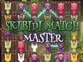 Гульня Skibidi Match Master