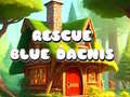 Гульня Rescue Blue Dacnis