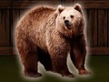 Гульня Save The Grizzly Bear