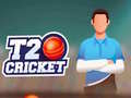 Гульня T20 Cricket