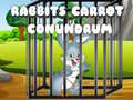 Гульня Rabbits Carrot Conundrum