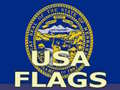 Гульня Usa Flags 