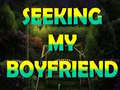 Гульня Seeking My Boyfriend