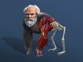 Гульня Idle Evolution From Cell To Human