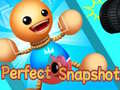 Гульня Perfect Snapshot