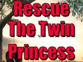 Гульня Rescue The Twin Princess