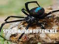Гульня Spider Hidden Difference