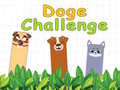 Гульня Doge Challenge