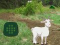 Гульня Goat Find The Child