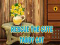 Гульня Rescue The Cute Tabby Cat