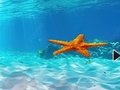 Гульня Escape From Underwater Starfish