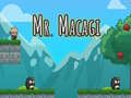 Гульня Mr Macagi