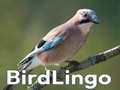 Гульня BirdLingo