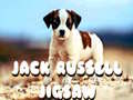 Гульня Jack Russell Jigsaw
