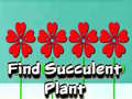 Гульня Find Succulent Plant