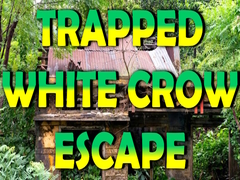 Гульня Trapped White Crow Escape