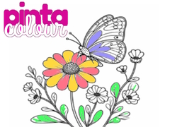 Гульня Pinta Colour