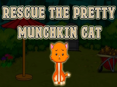 Гульня Rescue The Pretty Munchkin Cat