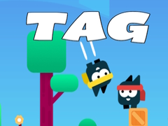 Гульня Tag